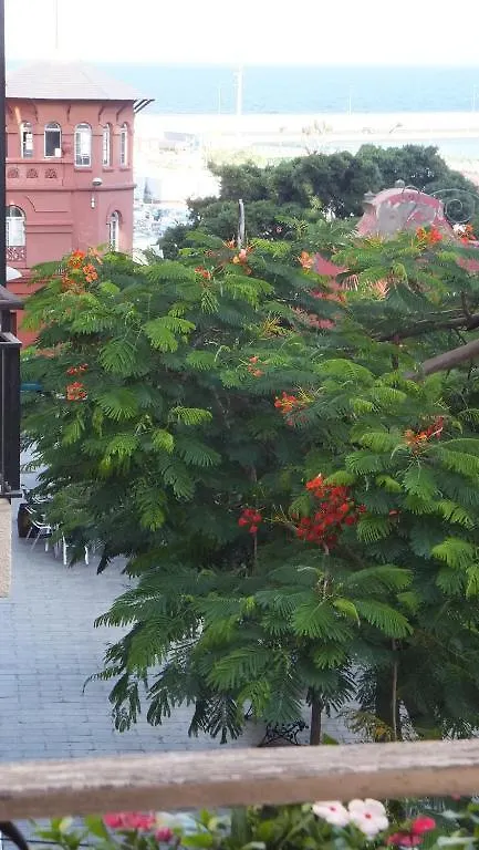 Casa Colonial Cejas Hotel Santa Cruz de Tenerife Guest house