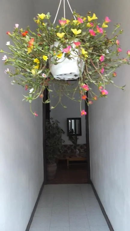 Hotel Casa Colonial Cejas Santa Cruz de Tenerife